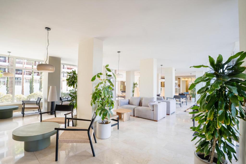 Coral Ocean View - Adults Only - 3