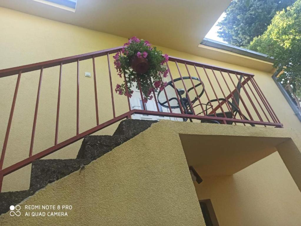 Villa Zorka - 3