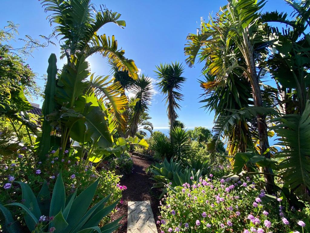Finca Tenerife - Traumblick, tropischer Garten, viel Platz & Ruhe - 3