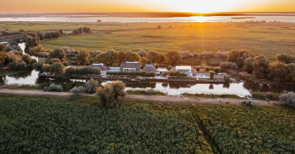 WPO - WILD PIKE OASIS, Caraorman