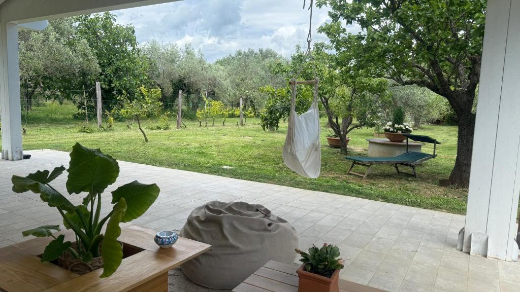 Casa RiVa - Among olive trees and the Tuscan coast, Vada
