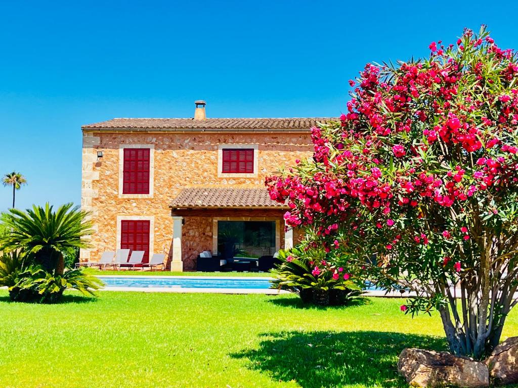 Finca Reina de la isla - 4