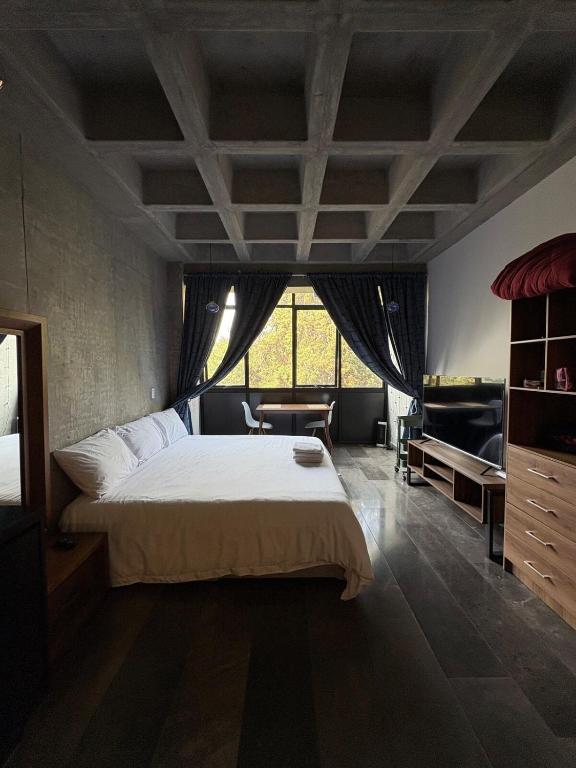 Loft in the Heart of Roma Norte - 4