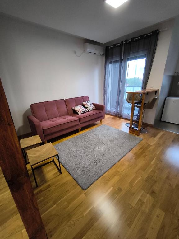 Cozy Studio, Beograd