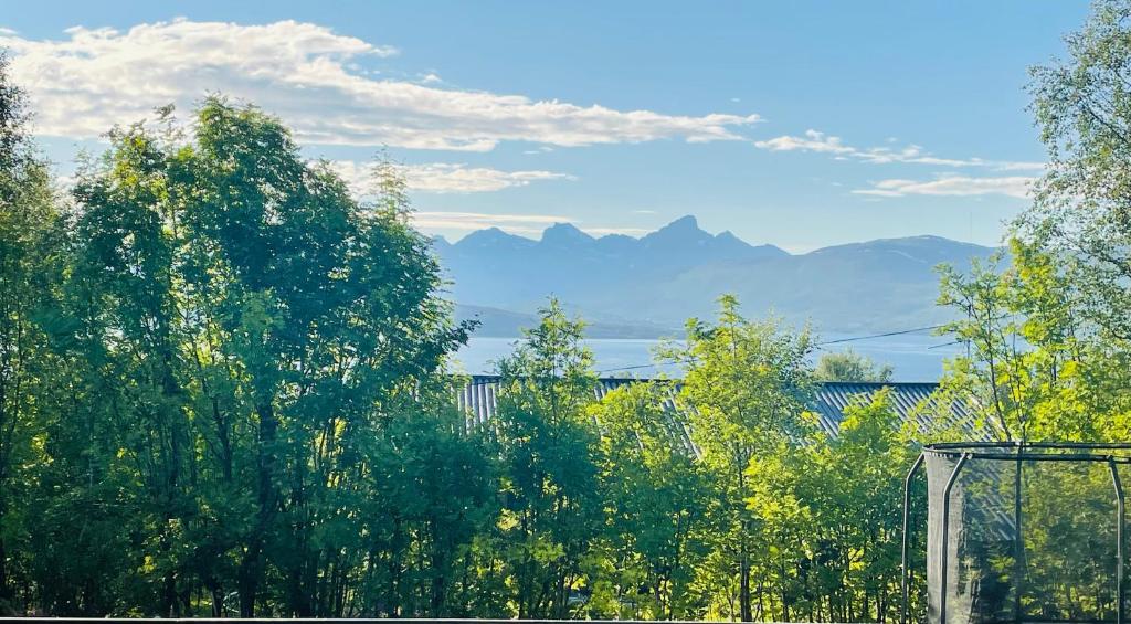 Apartment with a view - North, Åsgård