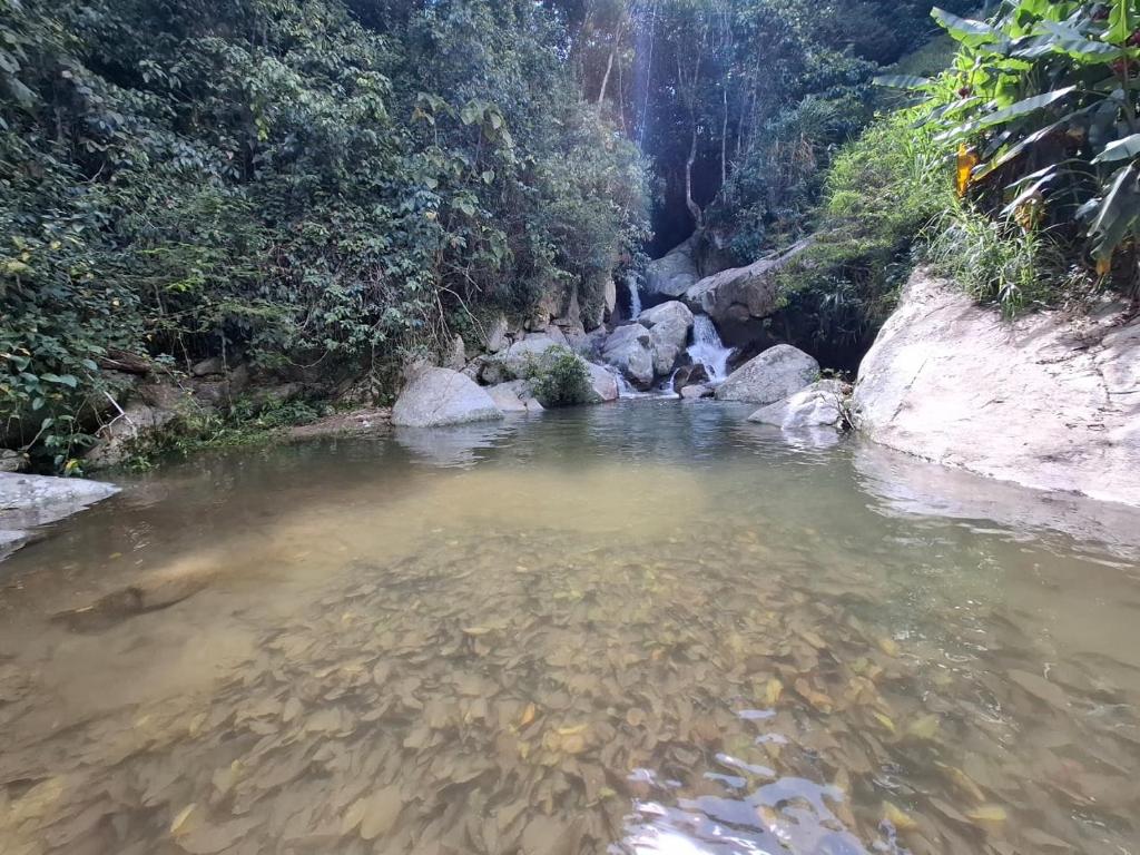 Cabaña sol wifi jacuzzi charcos parking - 3