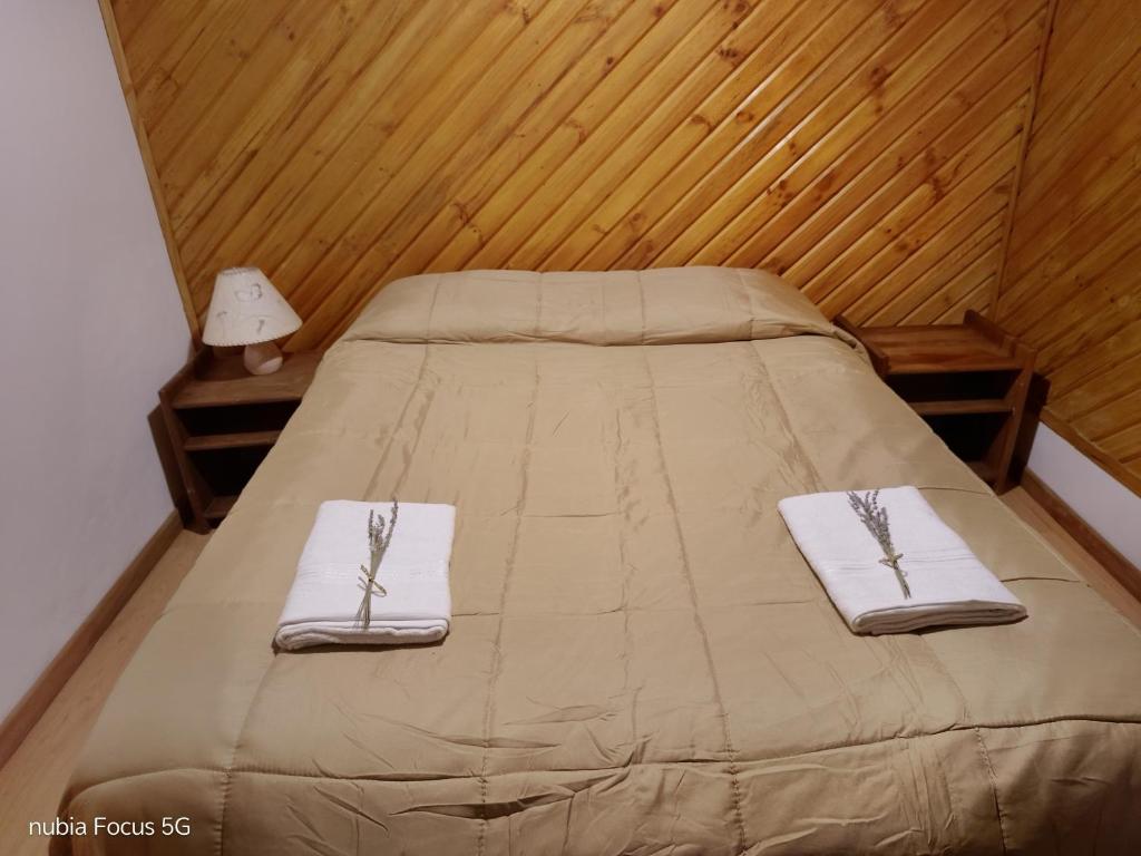 La cabaña de Moni - 4