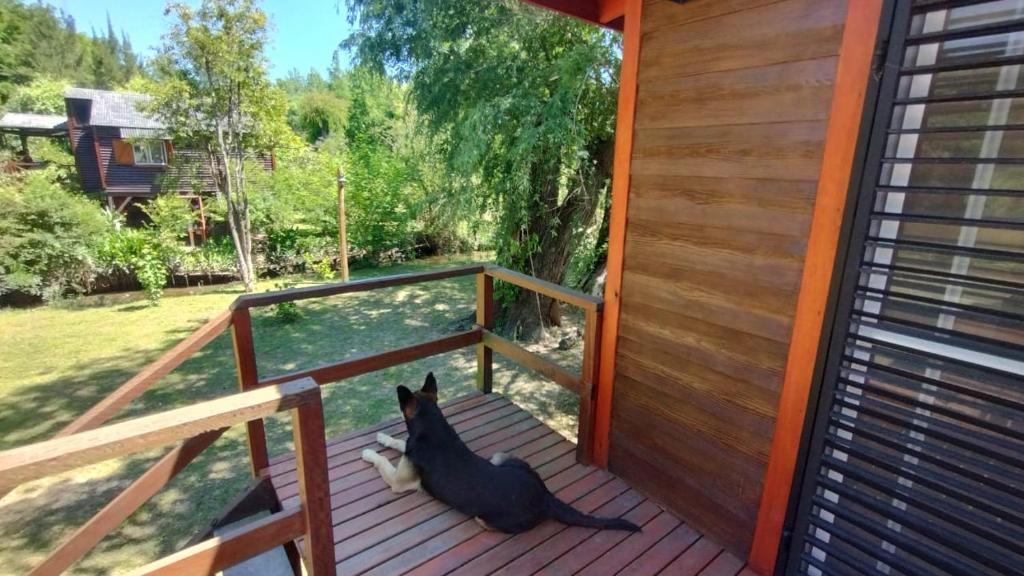 Cabañas Delta Tigre - 4