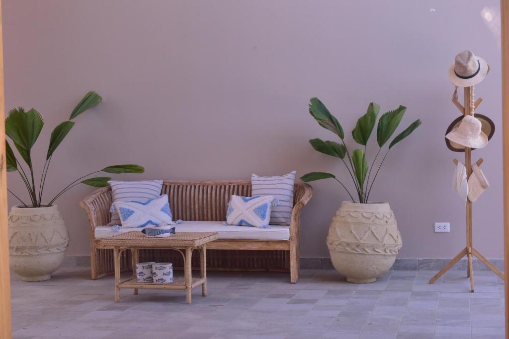 Cocolobos Beach Resort - 3