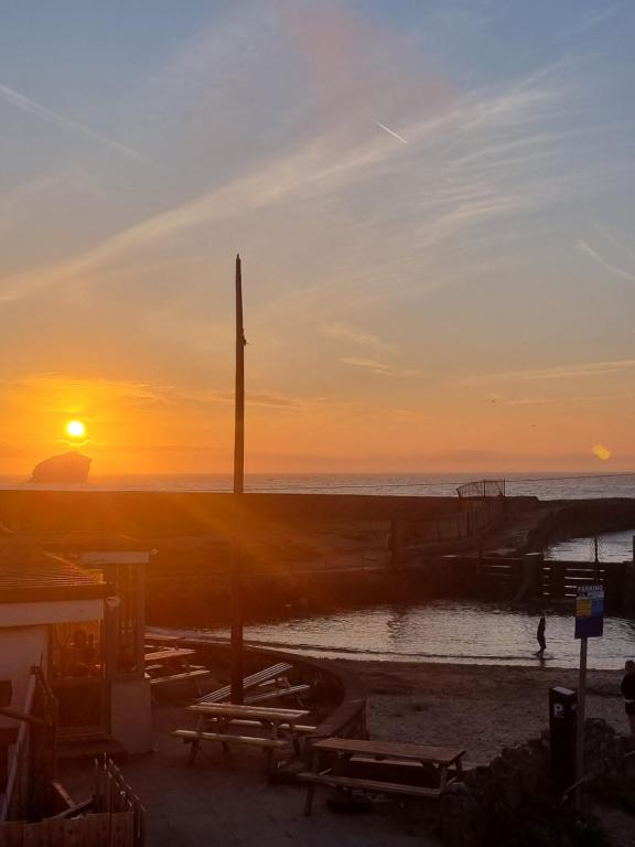 Sandy Paws, Portreath