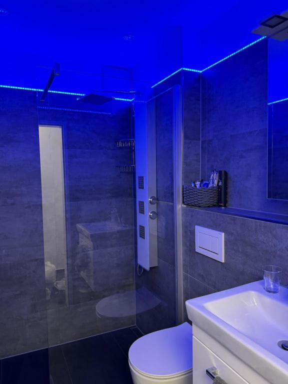 Single Apartment in Düsseldorf, Düsseldorf