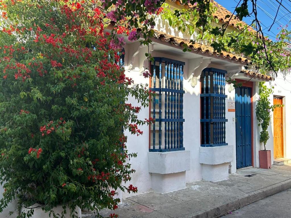 Zana Hotel Boutique - 3