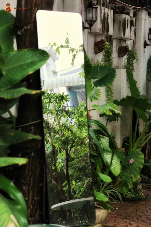 越南姑娘民宿 (Homestay Cô Gái Việt) - 1