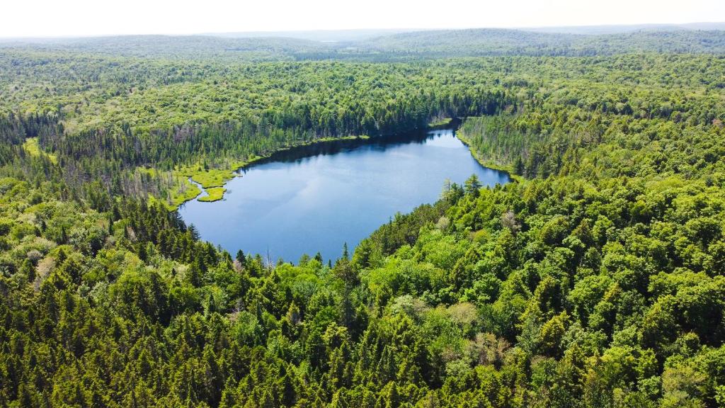 Lodge at Madawaska Ideal for Groups and hiking, Lake Saint Peter