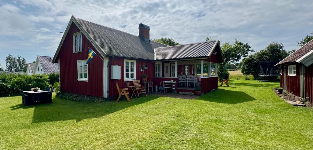 Stora lönn, Falkenberg