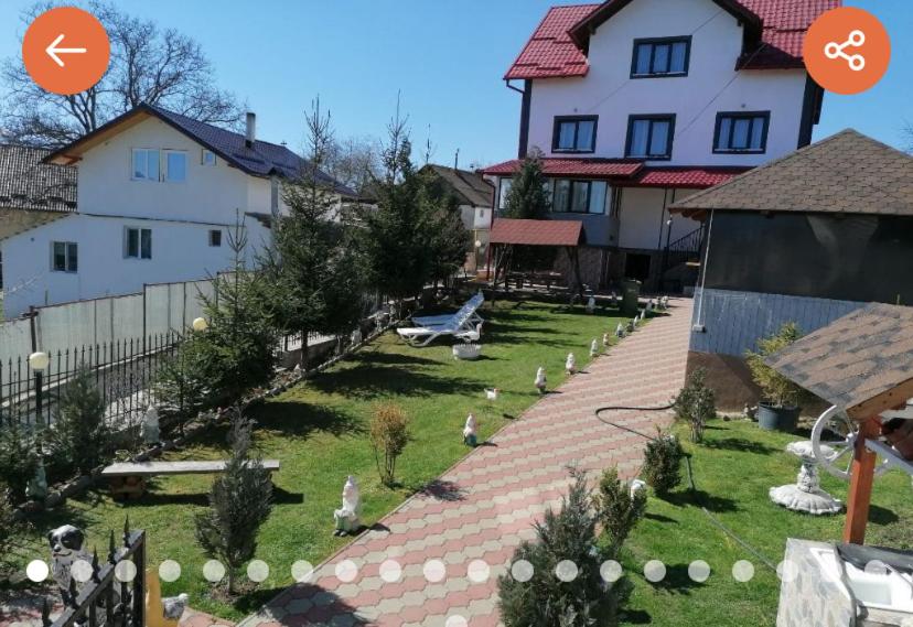 Casa Valex, Tohanu Nou