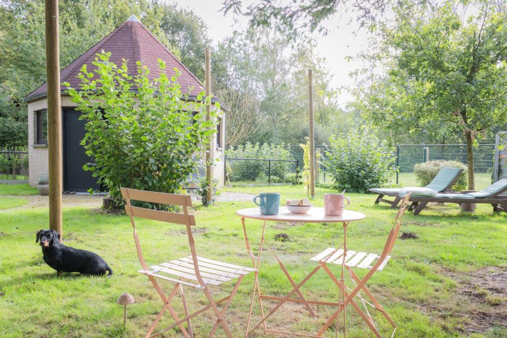 Octagoon, Tessenderlo