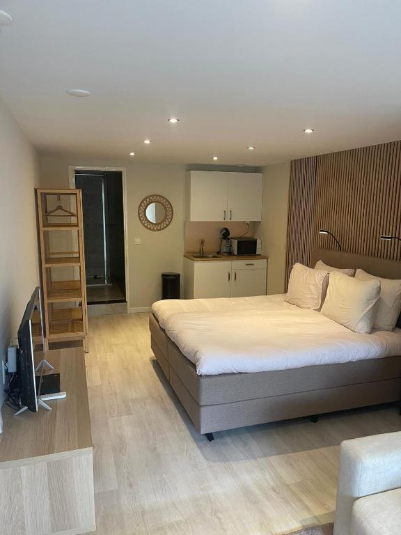 Studio Alexander with private indoor parking, Zandvoort