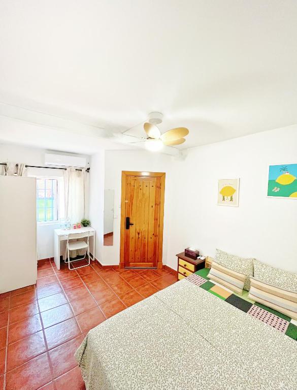 Centro Málaga-Casa del Limón - 4