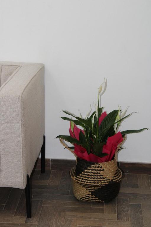 Eterea Apartment - 4