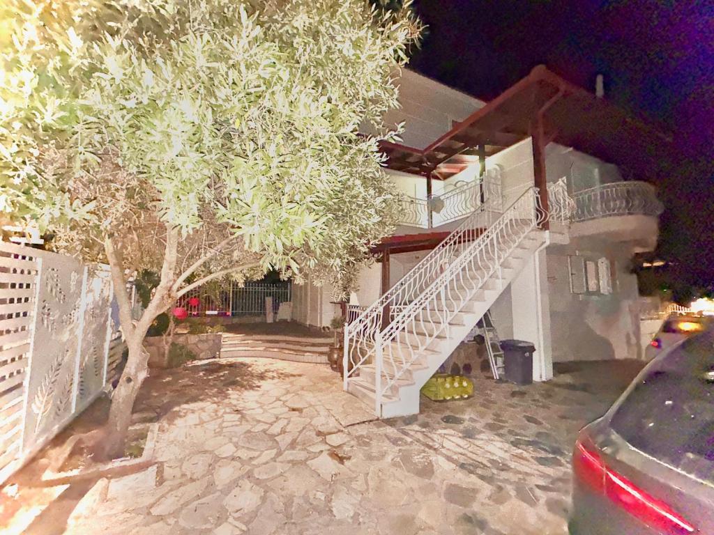 platamon 3 platania, Platamonas