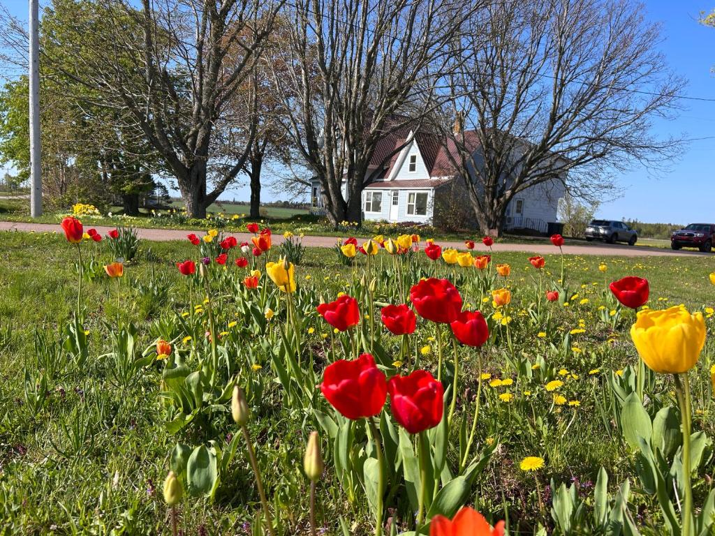 Garden View near Confederation Bridge and Beaches, Borden-Carleton