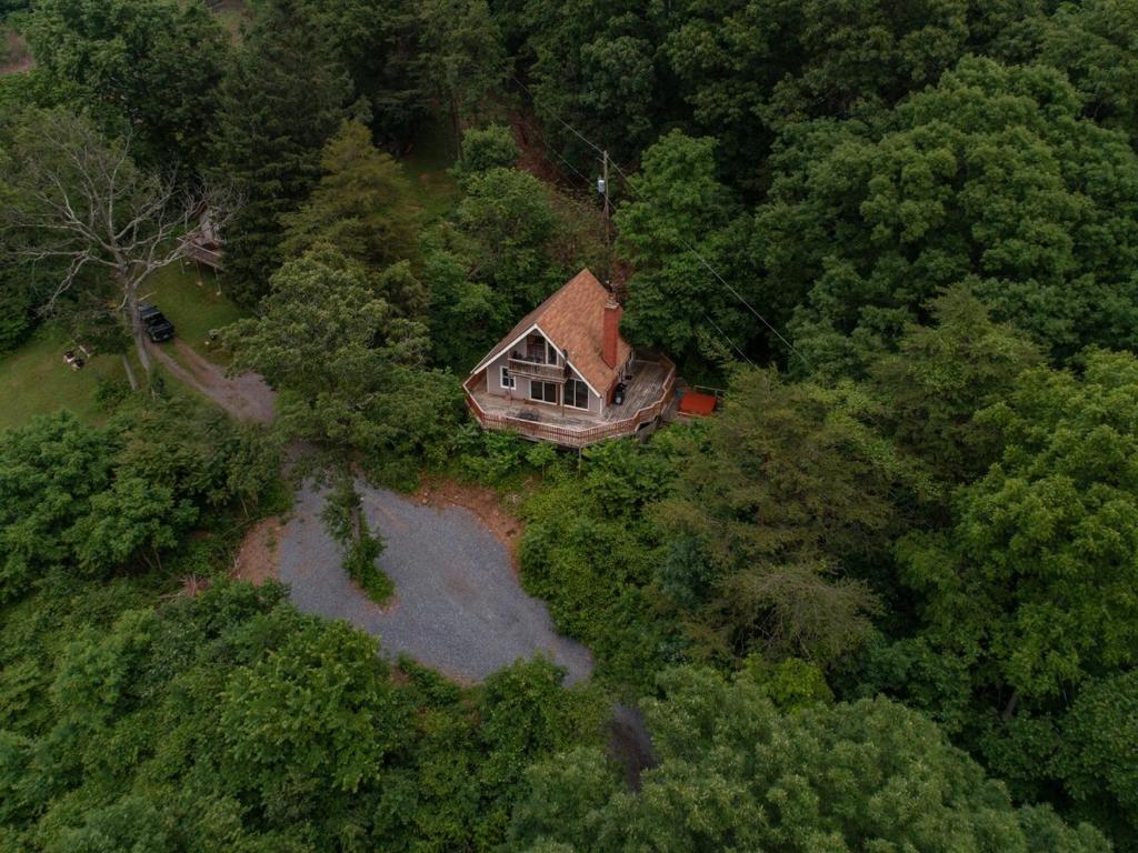 Clouds Cabin - HotTub, Mtn View, Pets, Rileyville