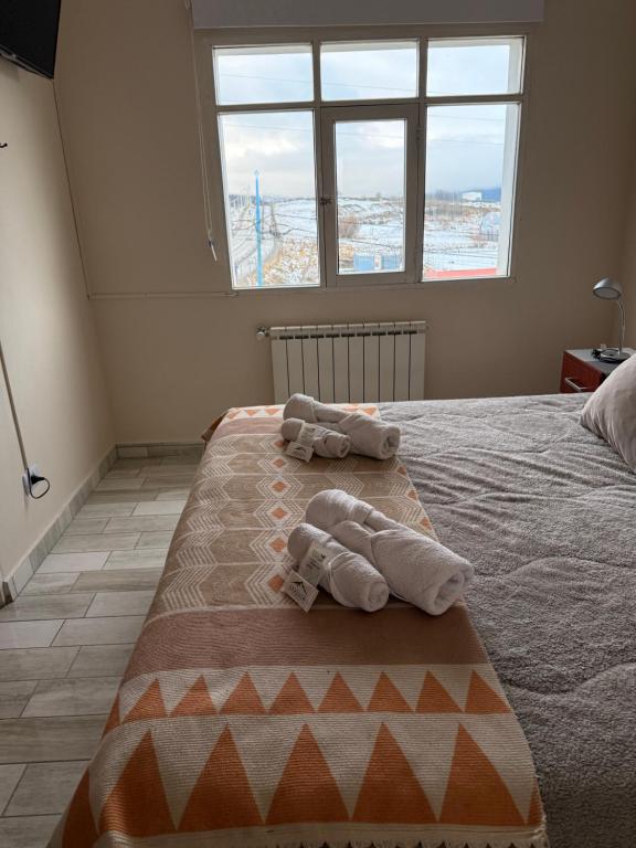 MS Hotel Campos 26 - 4