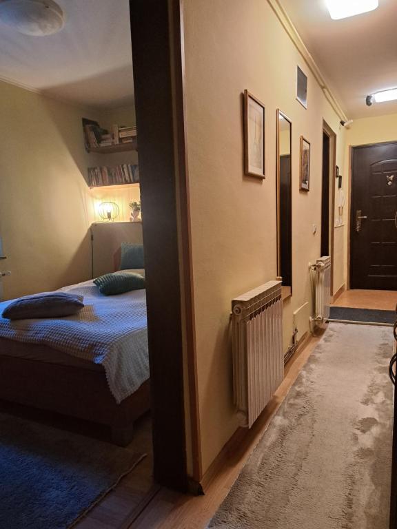 Room in the Zara apartment-Centre of the city - 4