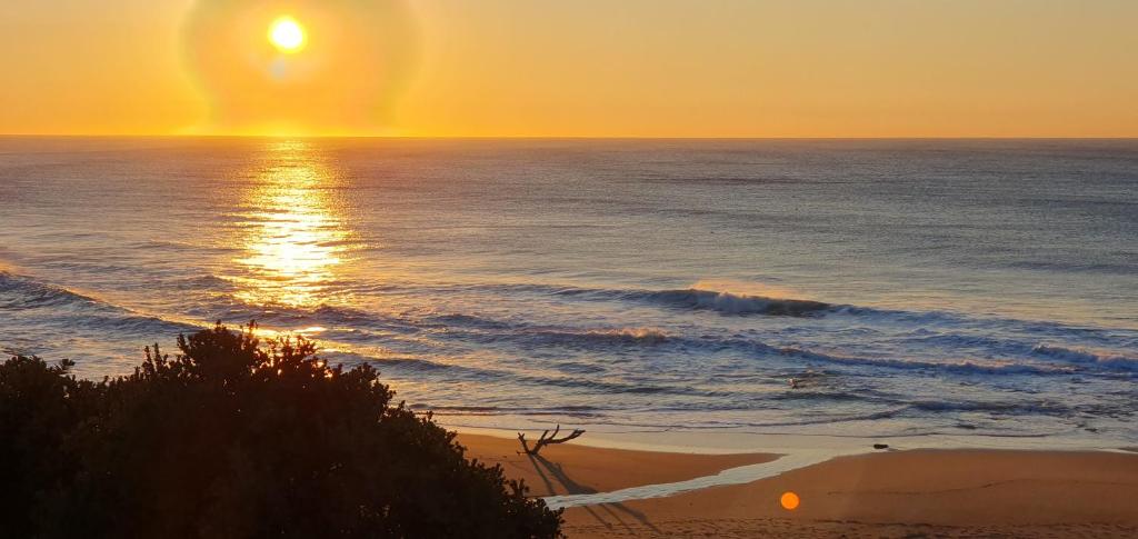 Sea views at 64 Bondi Beach, Margate