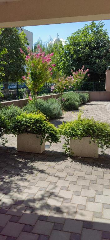 Rumi, Ivišovo Greblje