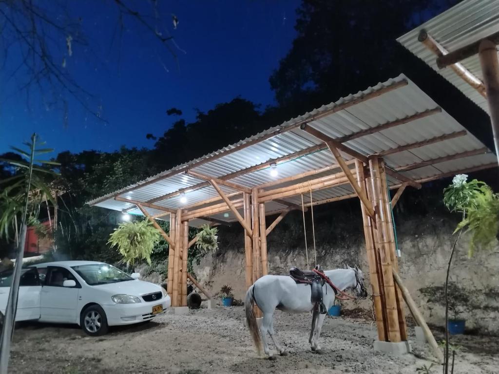El Eden Glamping cabañas Girardot - 4