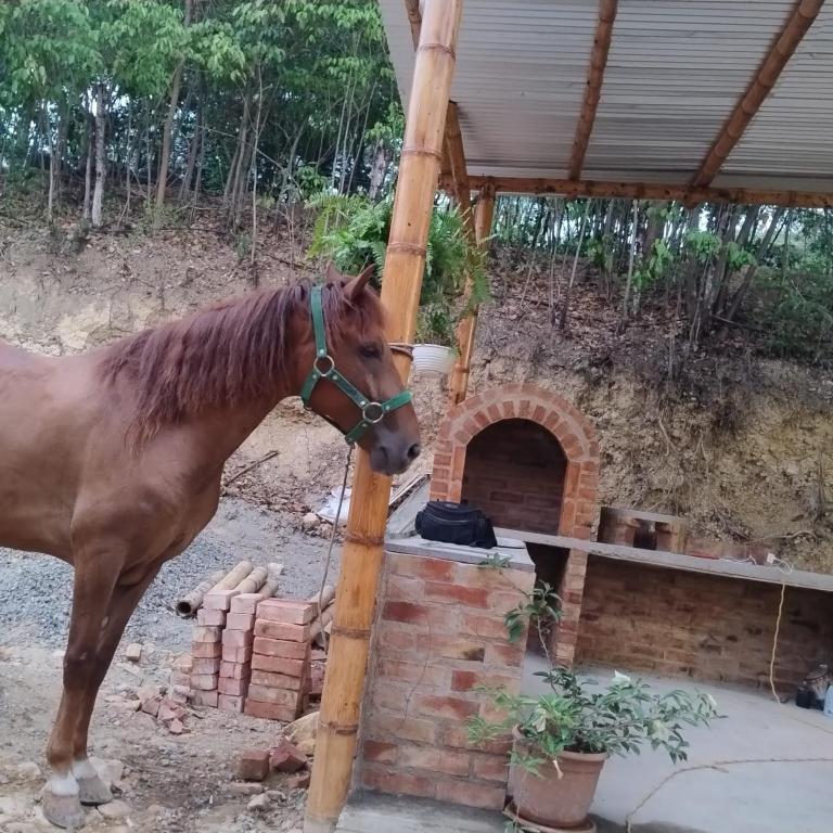 El Eden Glamping cabañas Girardot - 3