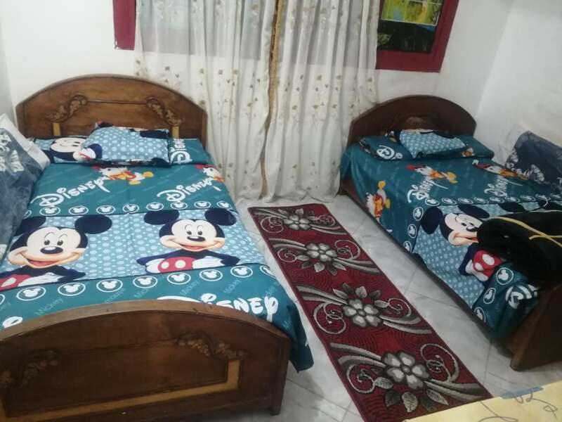 Sun of Aswan Stay, Asuán