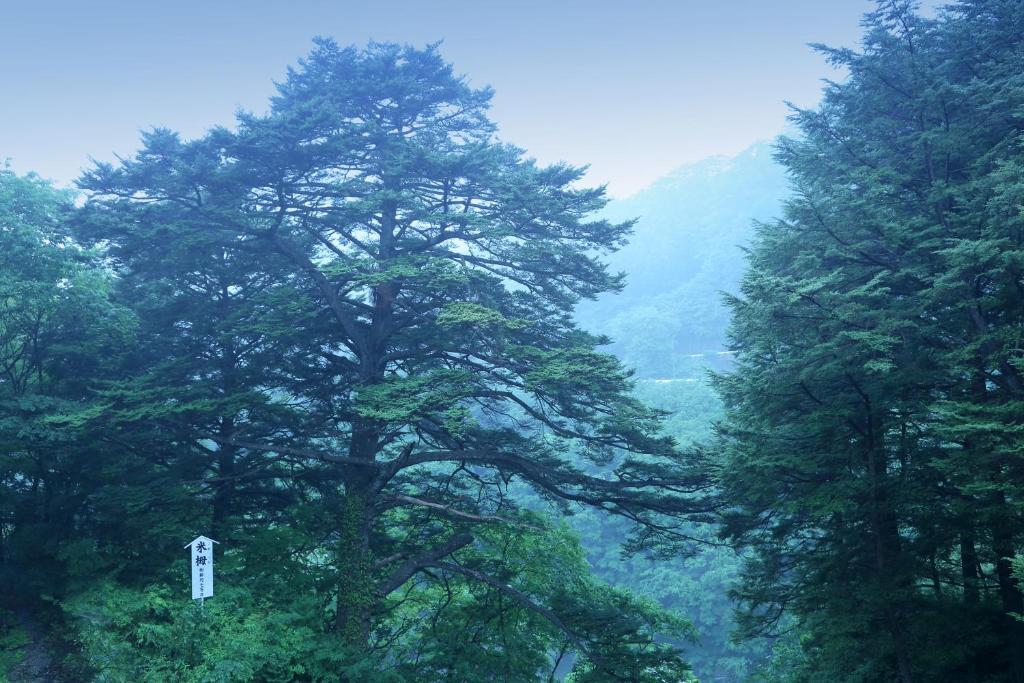 Surrounding environment