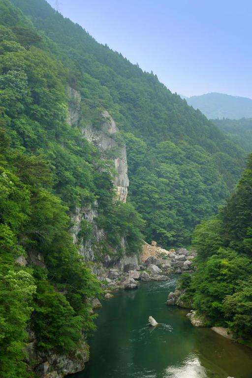 Surrounding environment