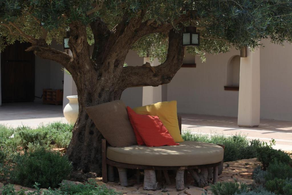 Surrounding environment