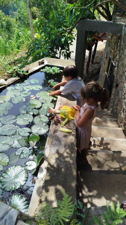 Hiking point Treehouse Ella, Ella