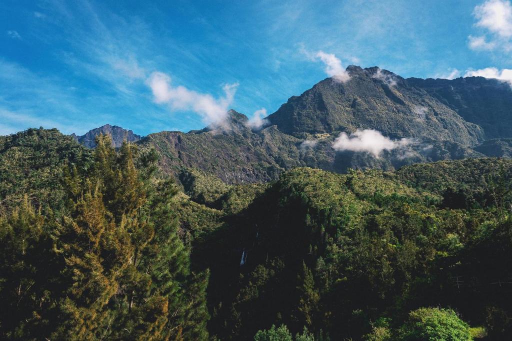 Sehenswürdigkeiten in der Nähe