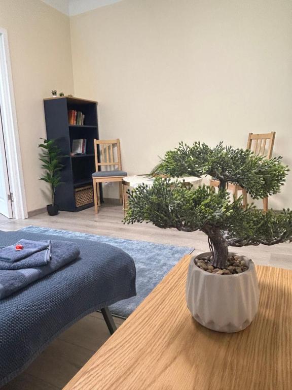 Sea Shell Hideout, Ventspils