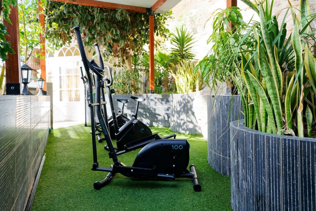 Aparthotel Maracaibo — Sports & recreation in Puerto Rico, Canary Islands