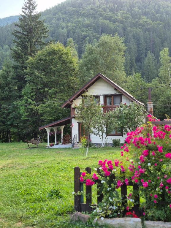 Котедж Хата край села, Tatariv