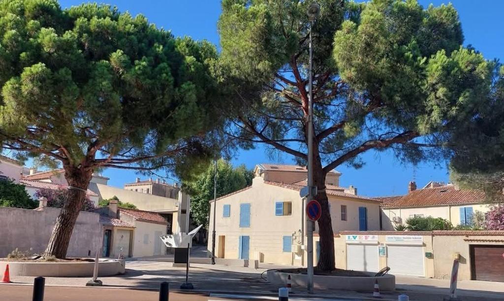 Magnifique studio - Augusta Résidence du Port - à 50 m du vieux Port et de ses animations - 1