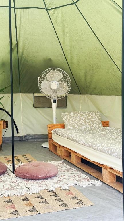 Młynek Tuszyn, Tuszyn