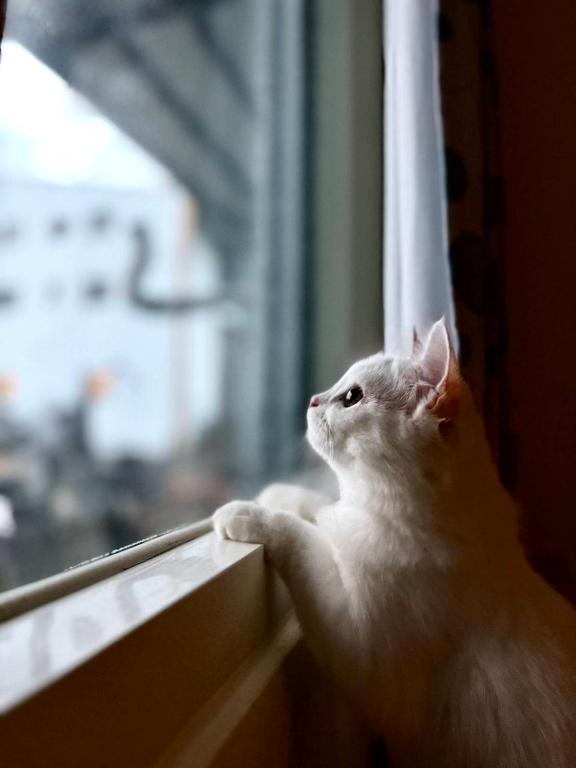 池上投優榻 Smart living B&B 호텔 이미지 1