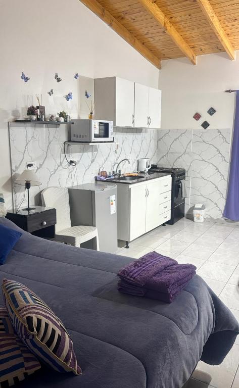 Monoambiente EK Centro Neuquén - 2