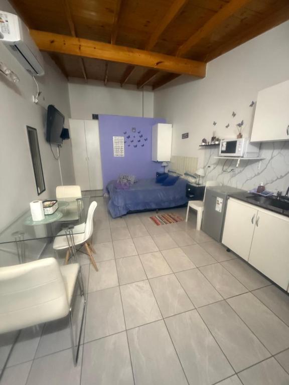 Monoambiente EK Centro Neuquén - 1