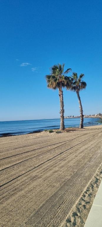Apartament Olimpia - 3