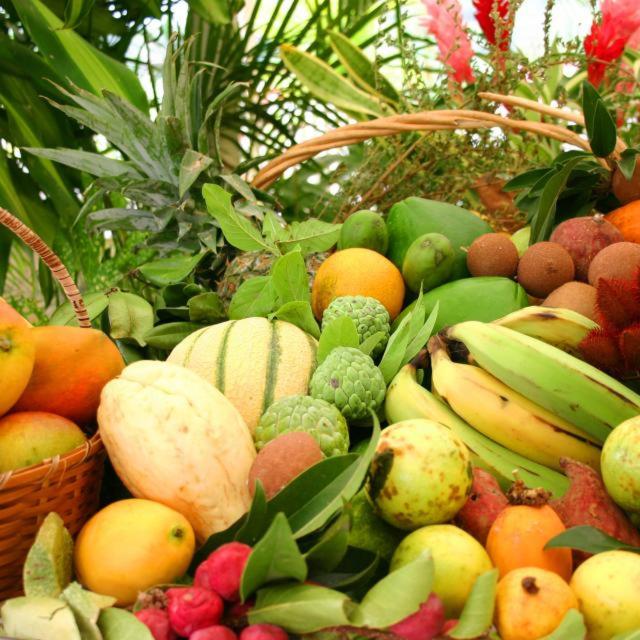 TSA Beaulieu, Sainte-Luce