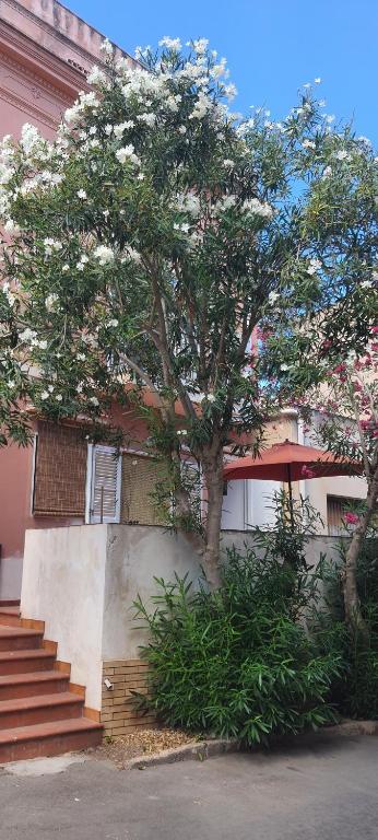 A 2 passi dalla piazza, Ustica